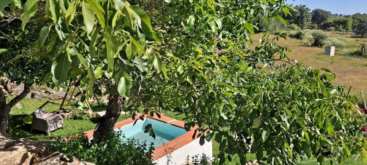 Casa Da Vizinha, Quinta Das Memorias Santo Antonio das Areias Ngoại thất bức ảnh